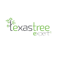 Affordable Tree Service Houston, Houston Tree Expert