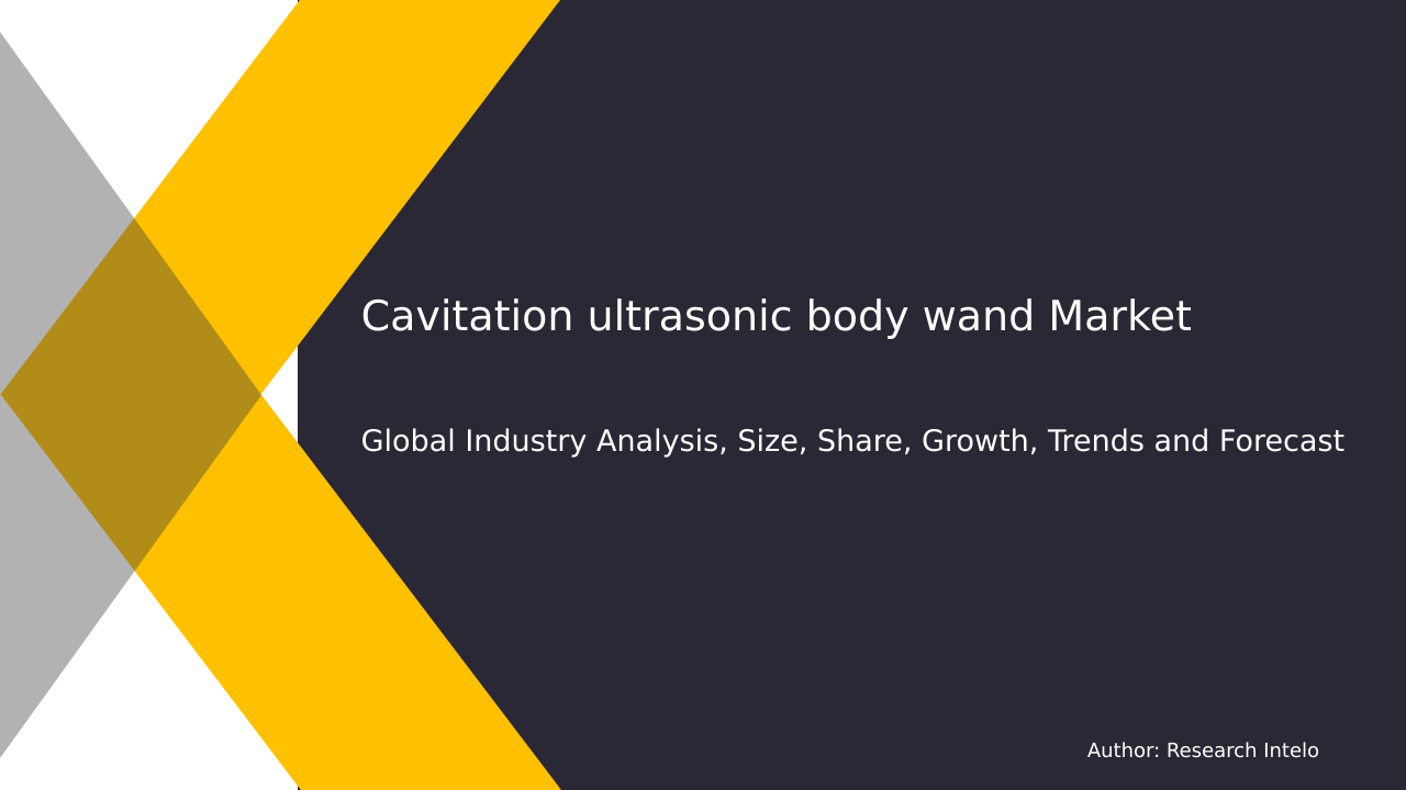 Cavitation ultrasonic body wand Market Research Report 2033